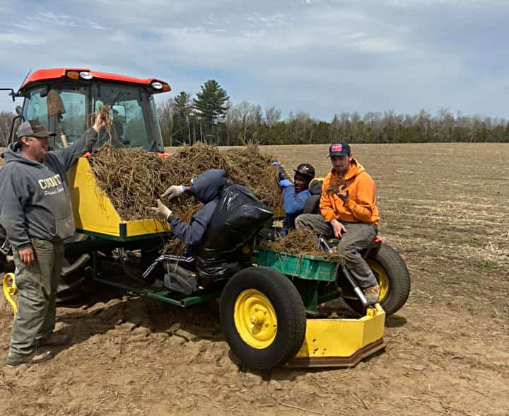 Riley and Winston and Tyrone getting ready to plant